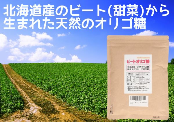 ヘルシーカンパニー ビートオリゴ糖