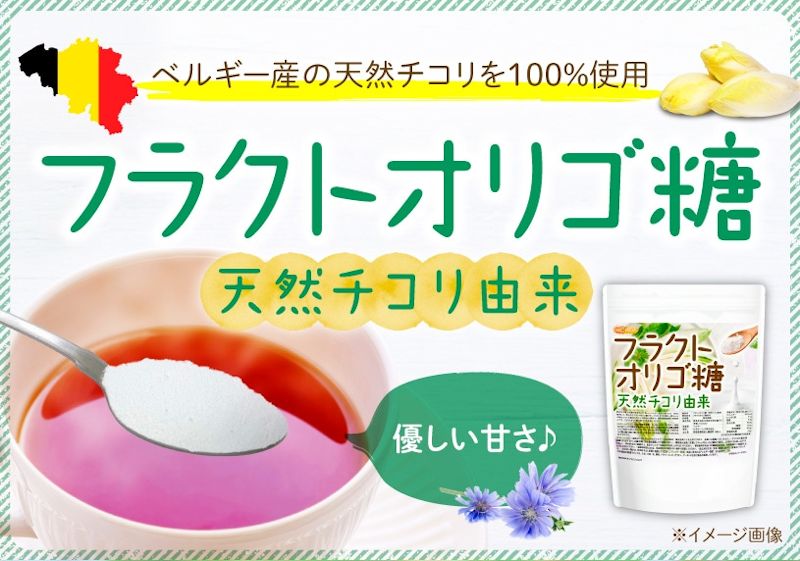 ニチガ フラクトオリゴ糖 天然チコリ由来
